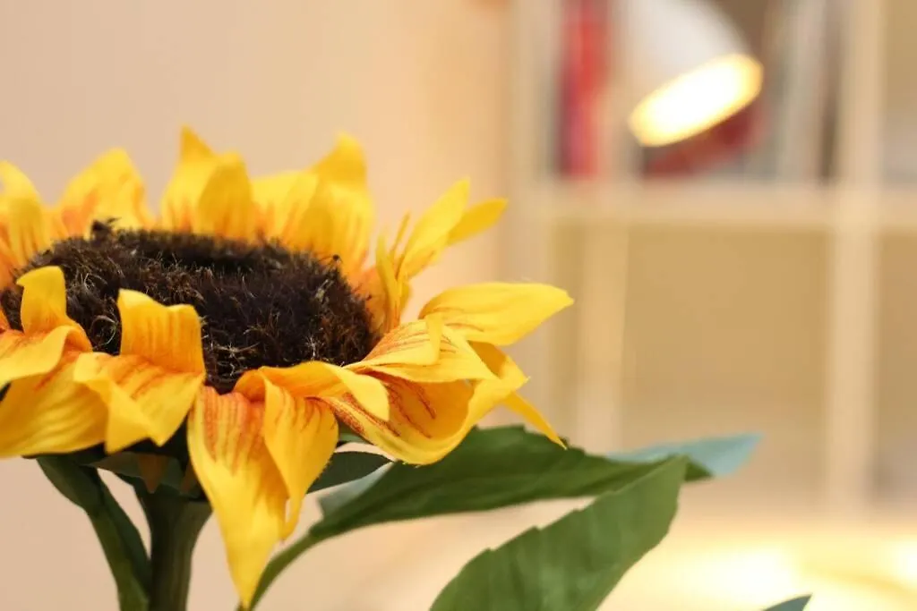 Fast Friend - Cozy Apartment In The Center With Private Garage Rijeka